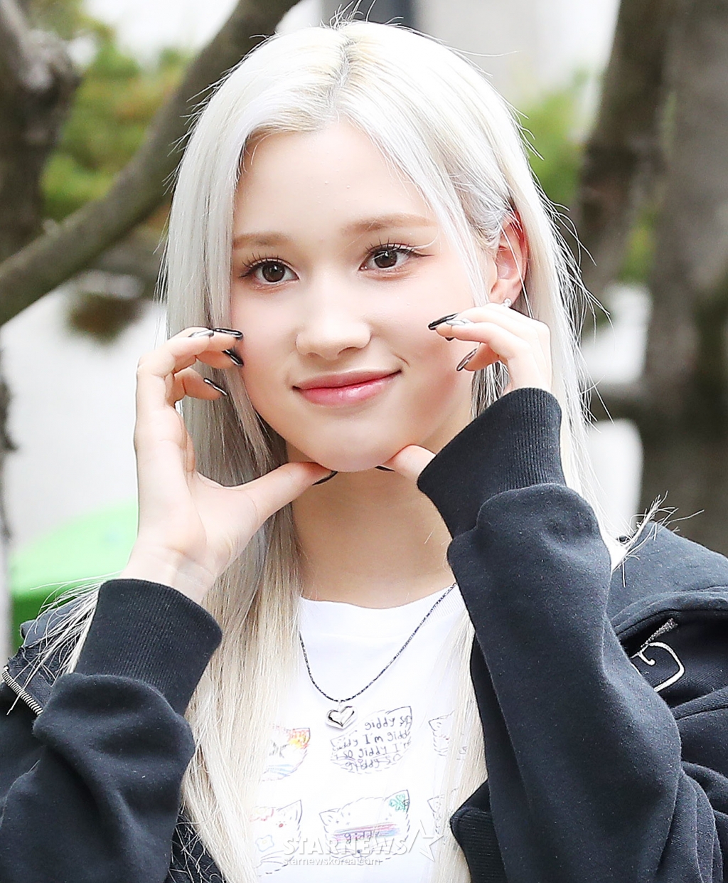 사진