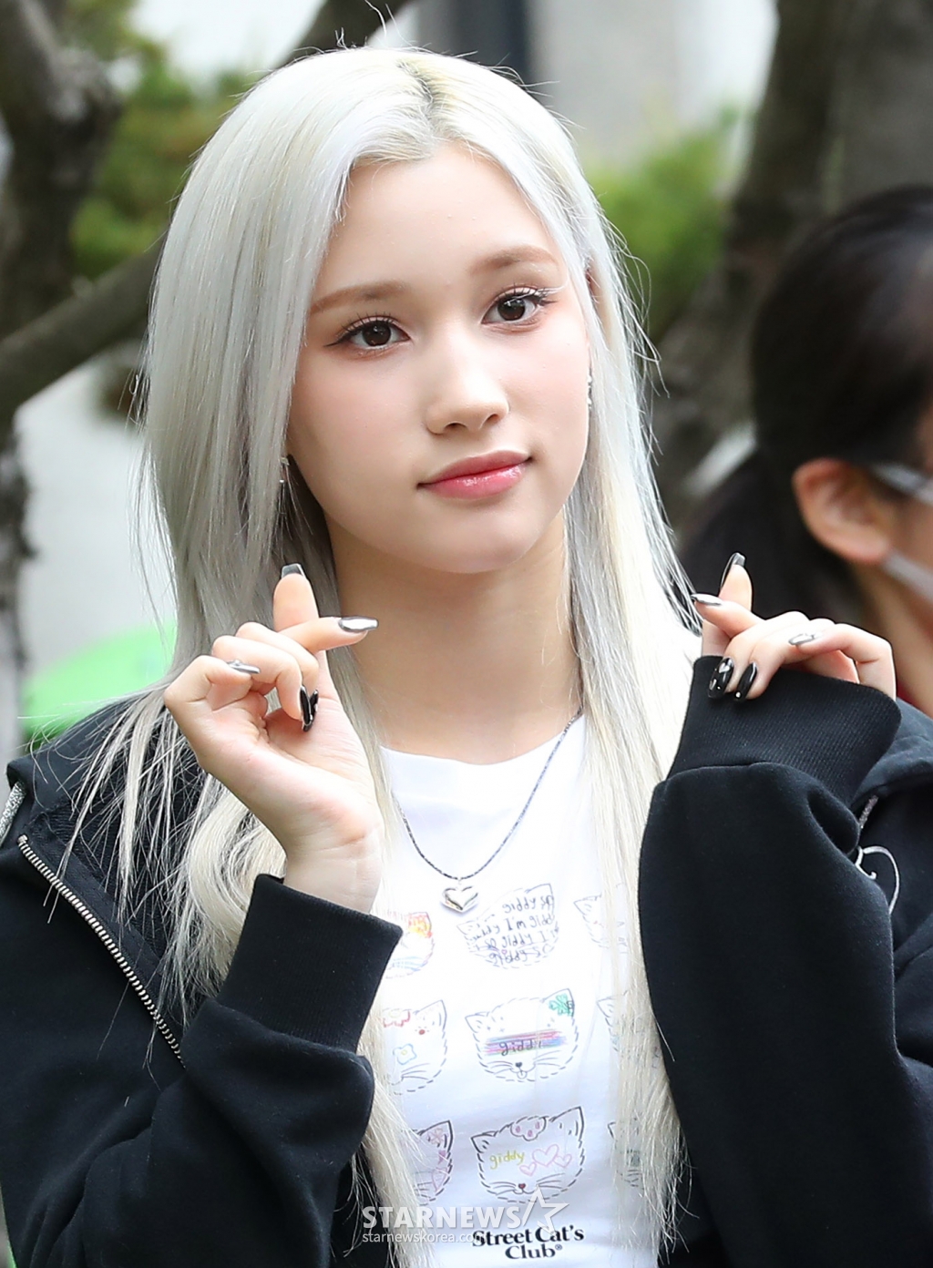 사진