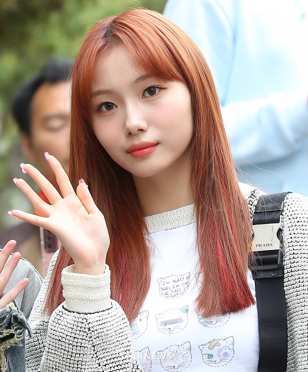 사진