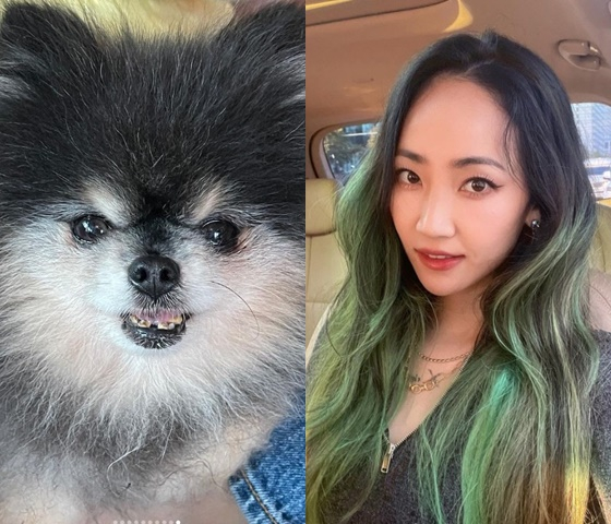 /사진=핫펠트 인스타그램