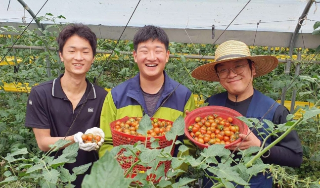 농업회사법인(주)팜팜 직원들이 수확한 토마토를 들고 웃고 있다.