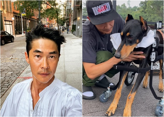 지극정성으로 벨의 재활에 힘쓴 배정남 / 사진=배정남 SNS