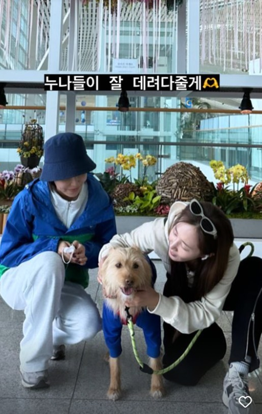 /사진=수영 SNS