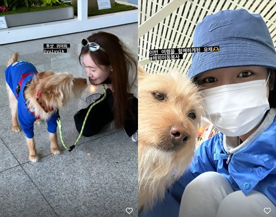 /사진=수영 SNS