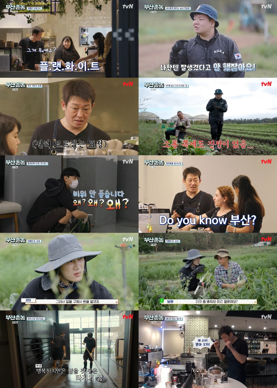 tvN '부산촌놈 in 시드니'/사진=tvN '부산촌놈 in 시드니' 방송 화면 캡처