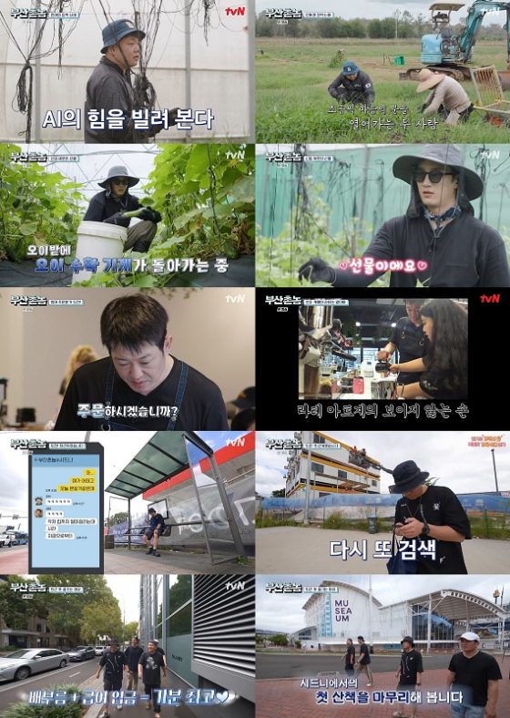 tvN '부산촌놈 in 시드니'./사진=tvN '부산촌놈 in 시드니' 방송 화면 캡처