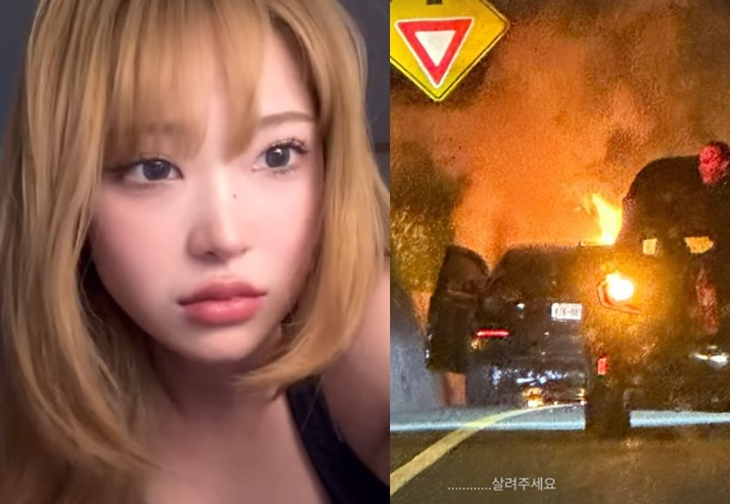 사진