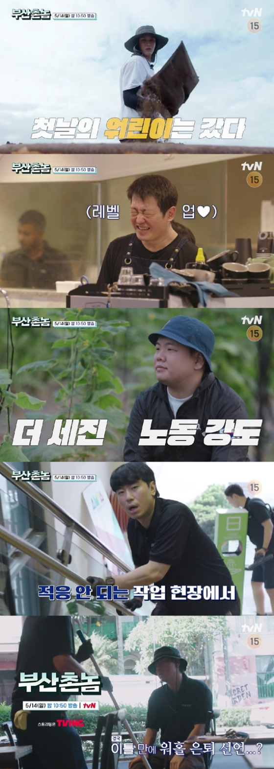 tvN '부산촌놈 in 시드니'./사진제공=tvN '부산촌놈 in 시드니'
