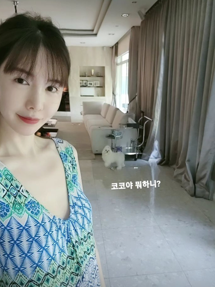 /사진=신주아