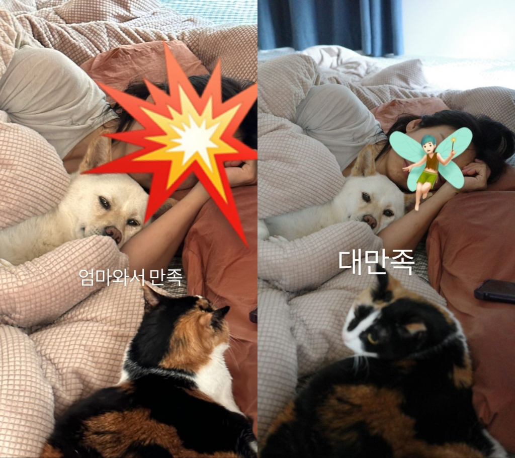사진=이효리 인스타그램