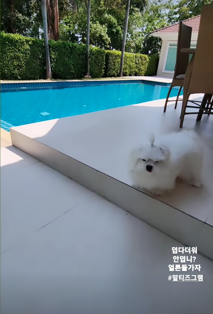 /사진=신주아