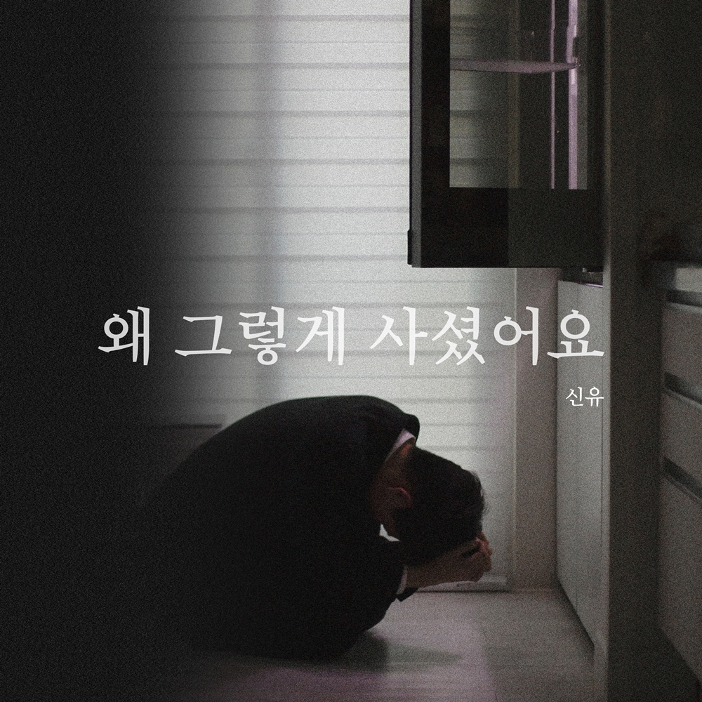 /사진제공=제이지스타, SY엔터테인먼트