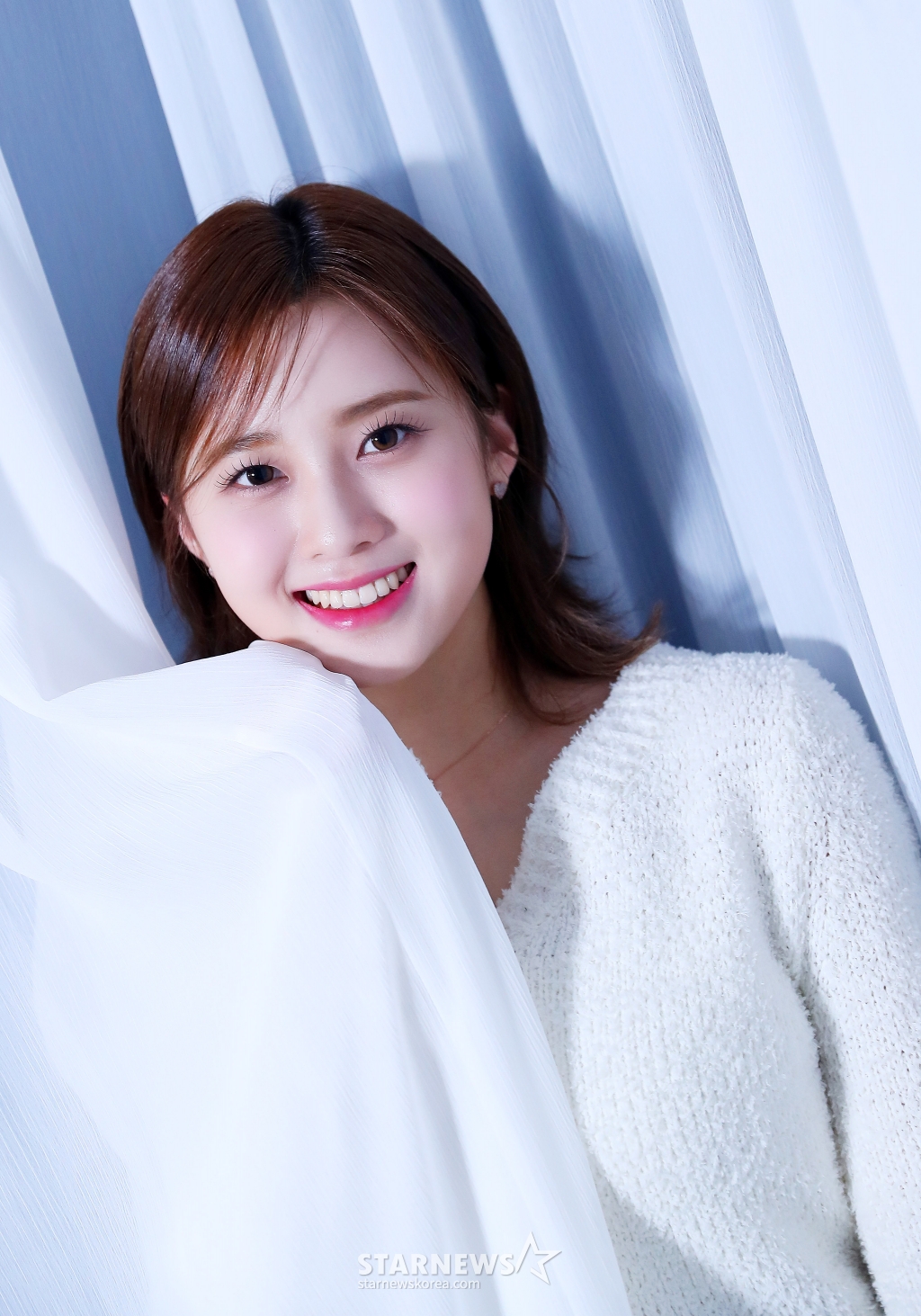 사진