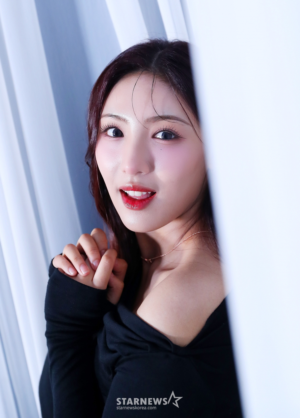 사진