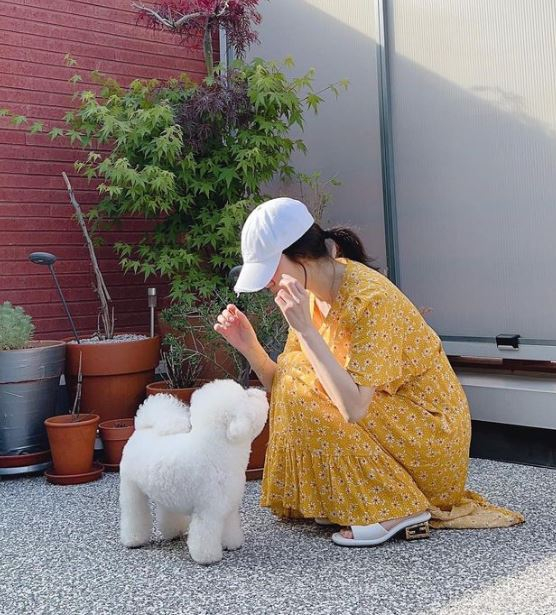 /사진=송혜교 인스타그램