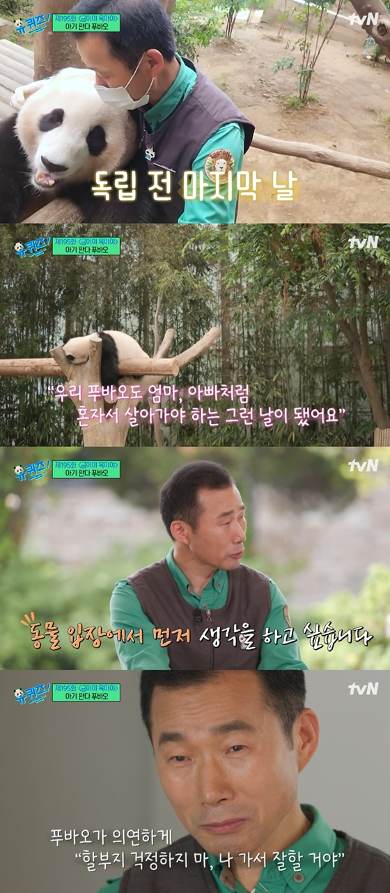 푸바오, 강철원 사육사 /사진=tvN 유 퀴즈 온 더 블럭