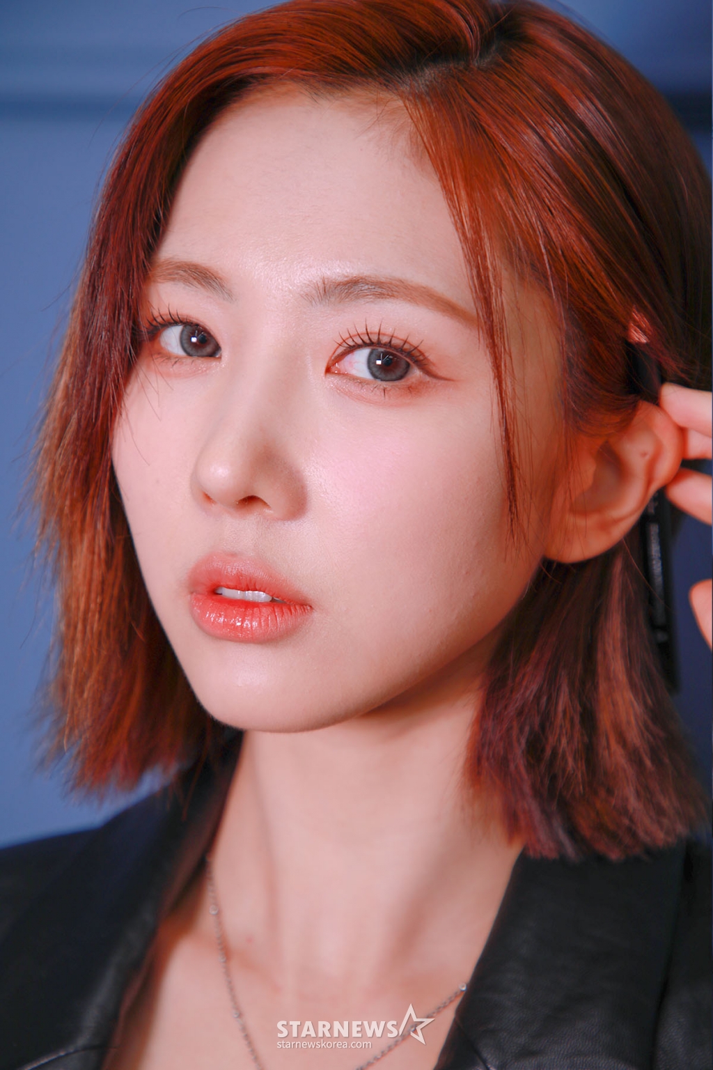 사진