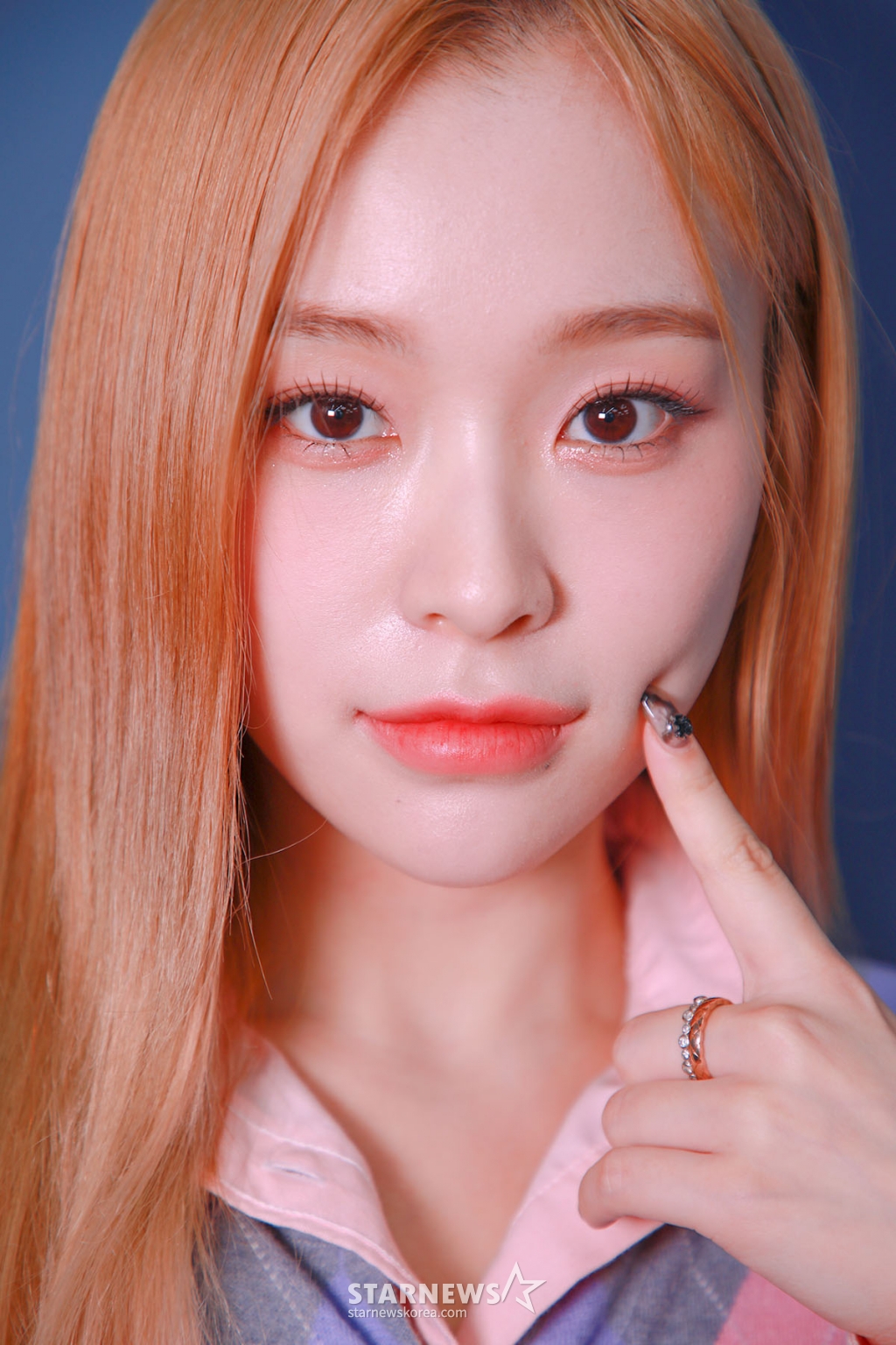 사진