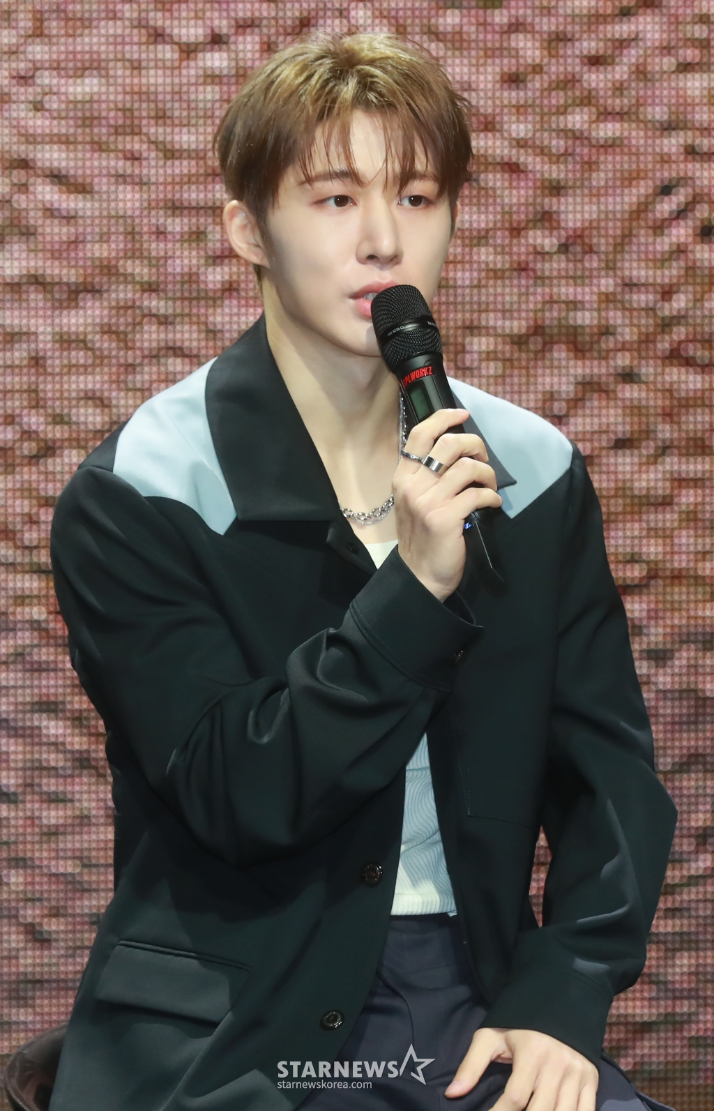 사진