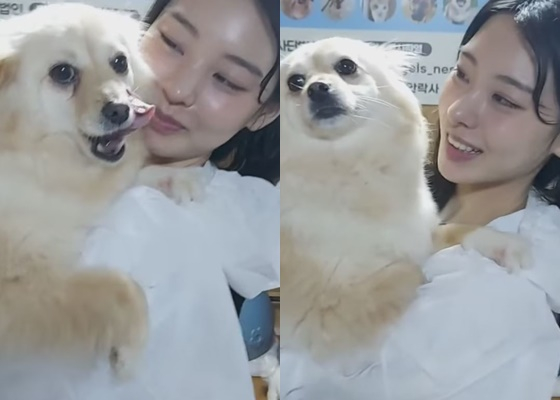 /사진=천사들의 보금자리 인스타그램