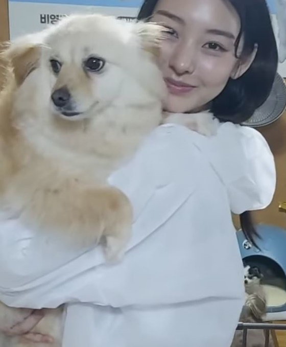 /사진=천사들의 보금자리 인스타그램