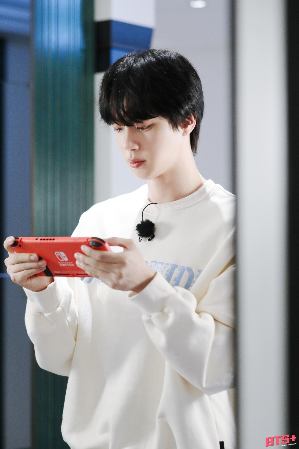 사진