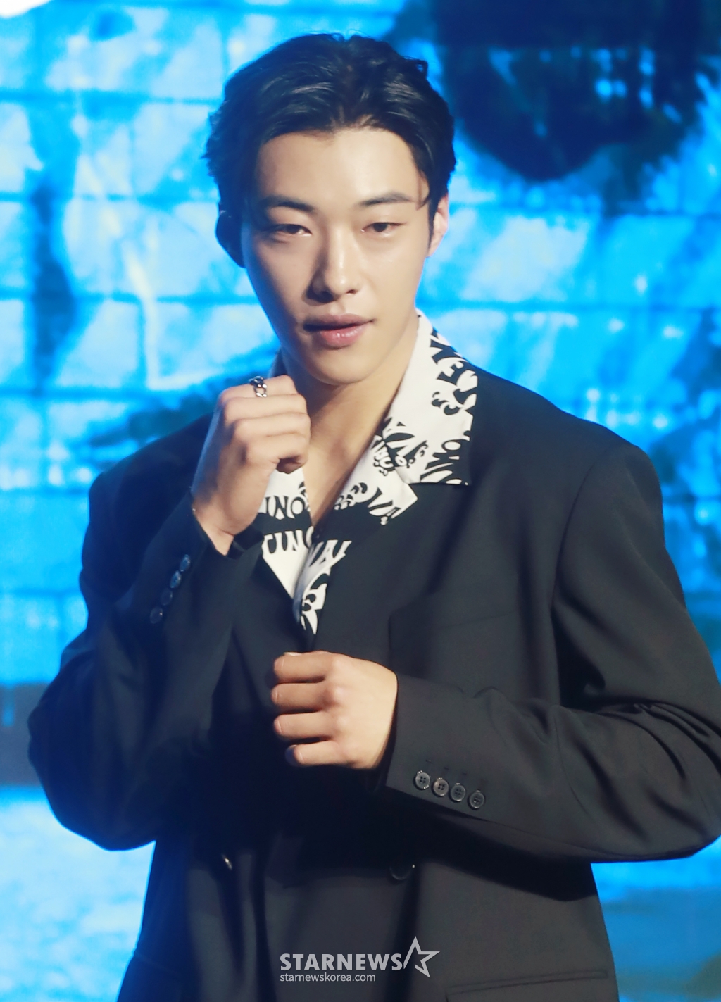 사진