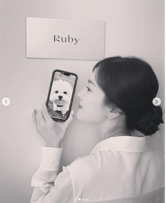/사진=송혜교
