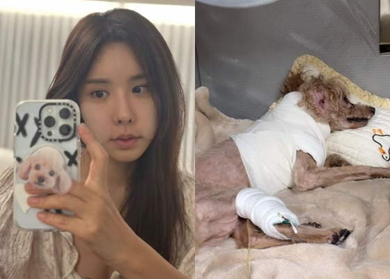 /사진=김준희 인스타그램