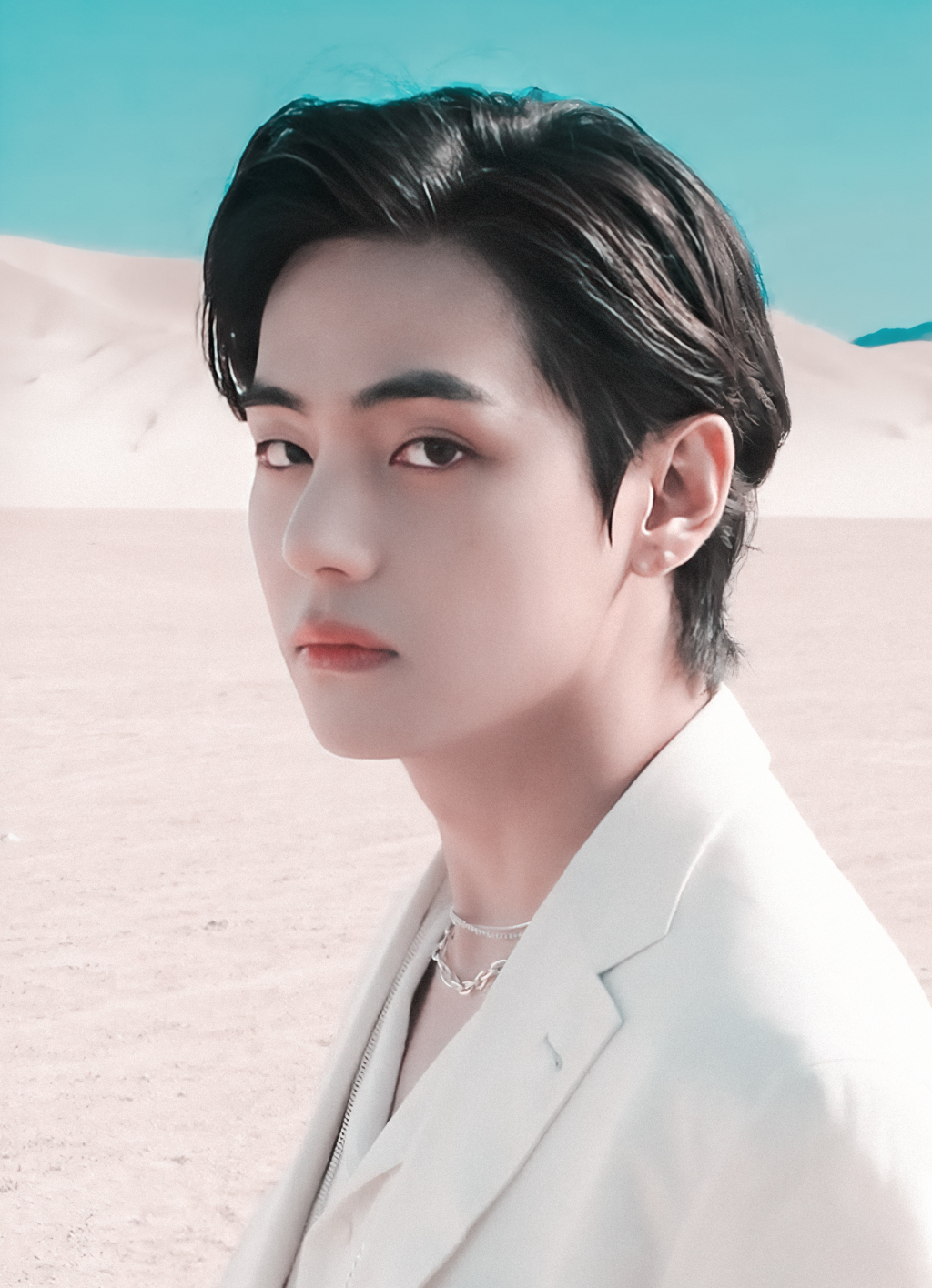 사진