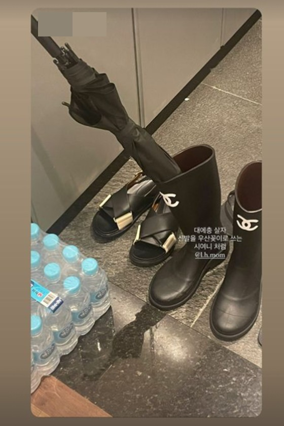 /사진=박시연