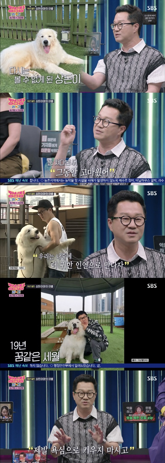 /사진='강심장 리그'
