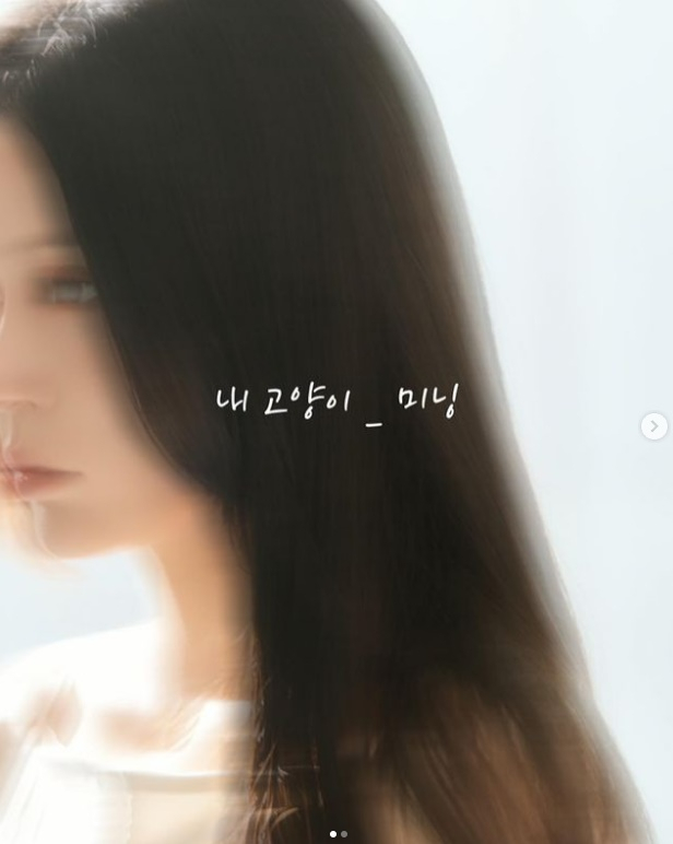 /사진=조민