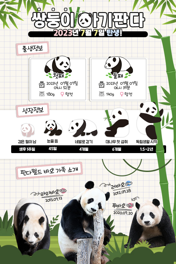 /사진제공=에버랜드