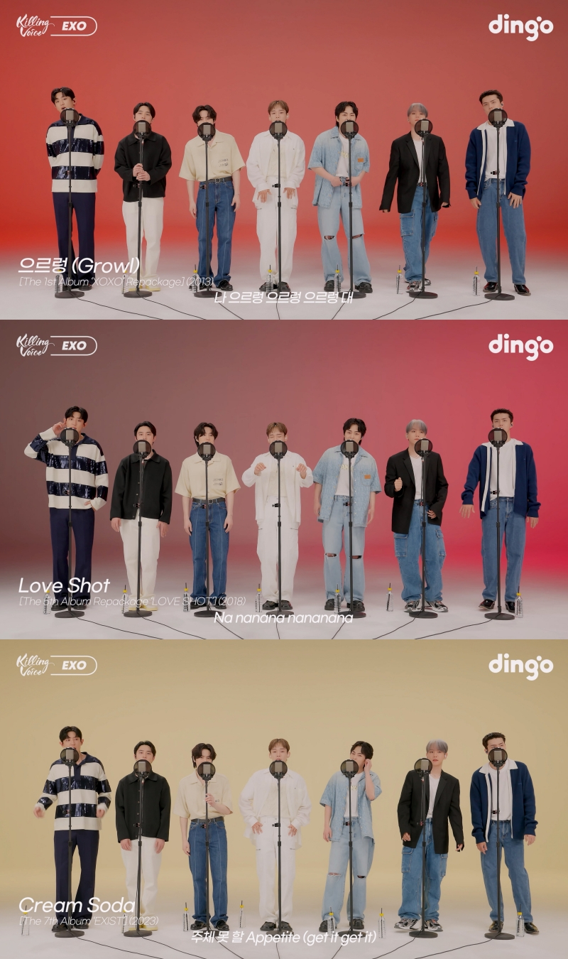 /사진=딩고 뮤직 '킬링 보이스