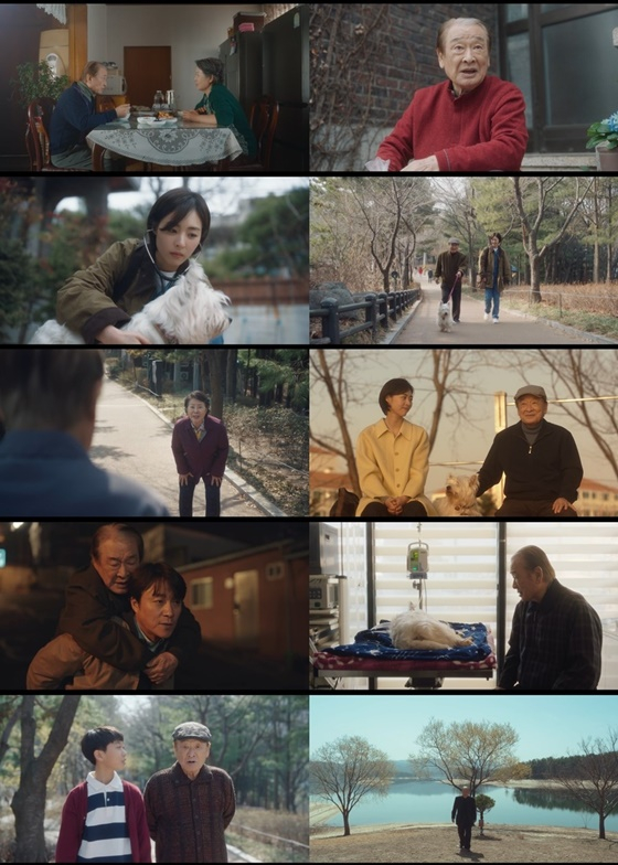 /사진=tvN