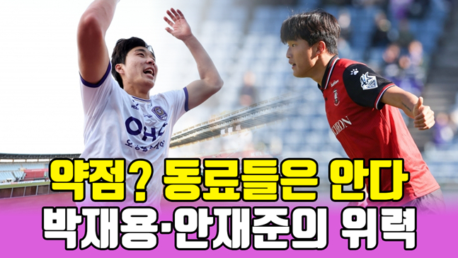 /그래픽=이원희 기자