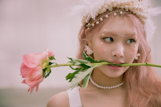 /사진=수안