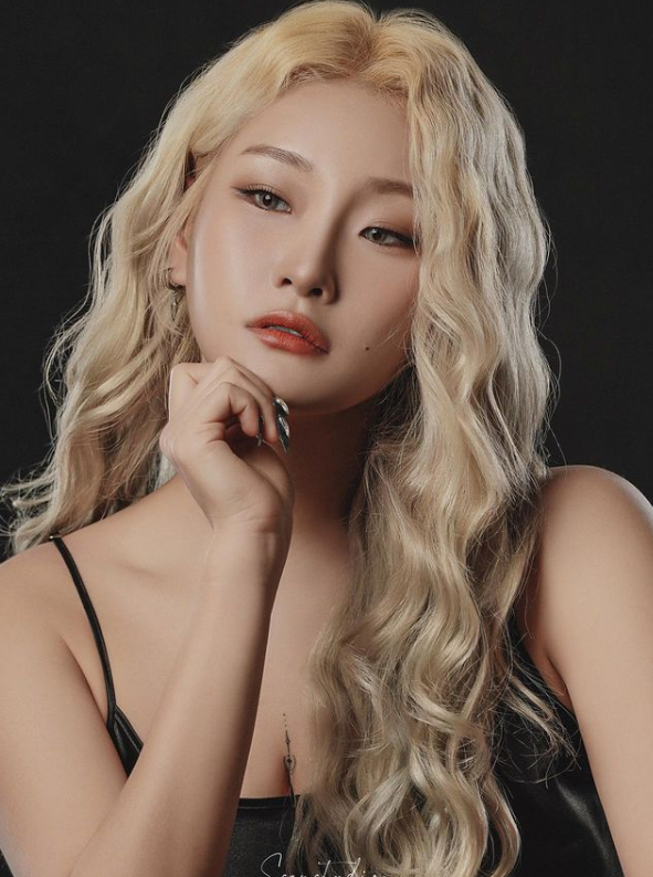 /사진=손승연