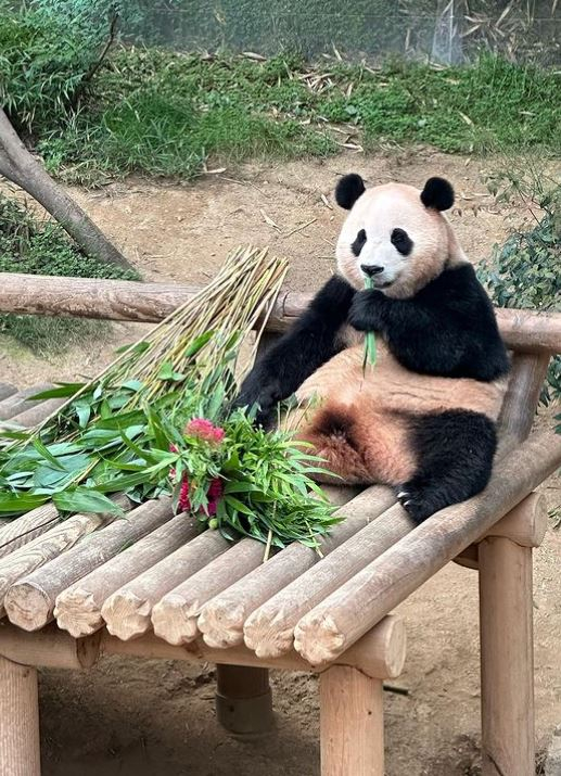 /사진=보아 인스타그램