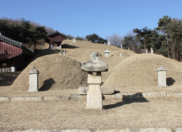 정승만 13명을 배출한 위쪽에 후손의 산소를 역장으로 쓴 군포 동래정씨 정난종 일가 묘역 /사진=정종수위원제공