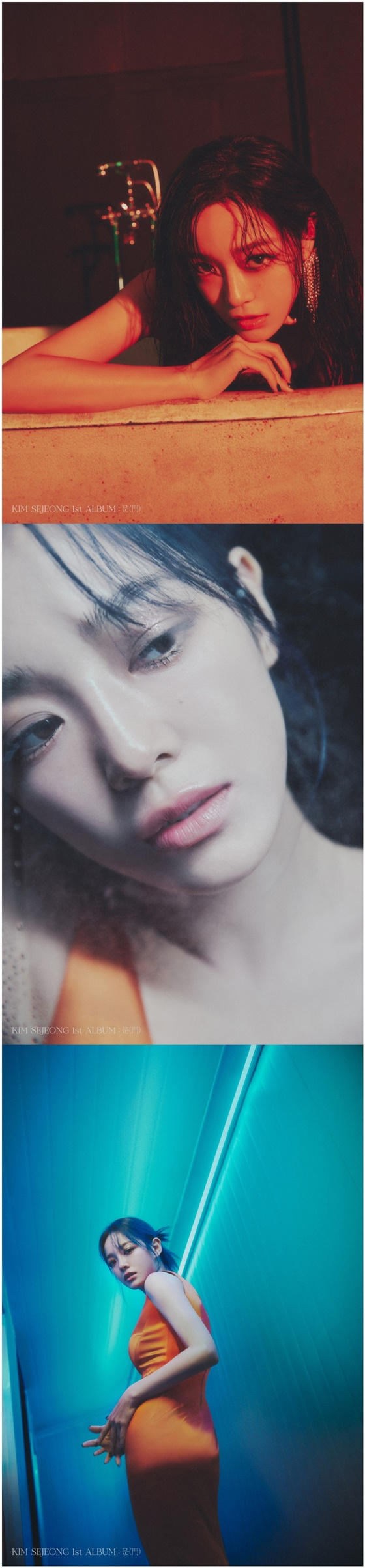 /사진=젤리피쉬