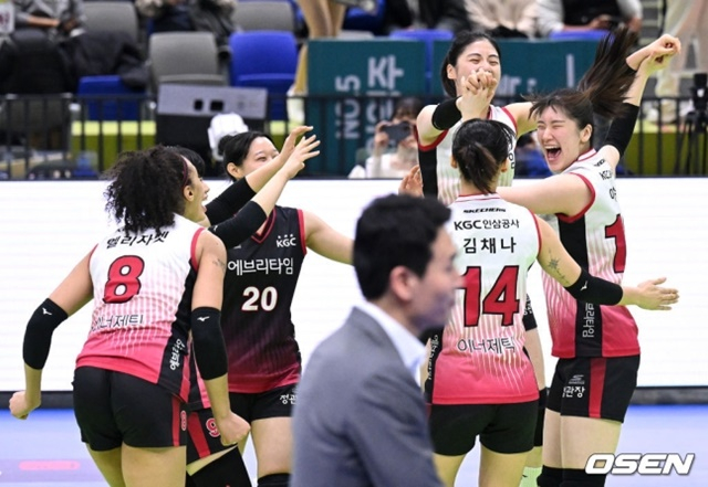 프로배구 KGC인삼공사가 정관장 레드스파크스로 팀명을 바꿨다. /사진=OSEN