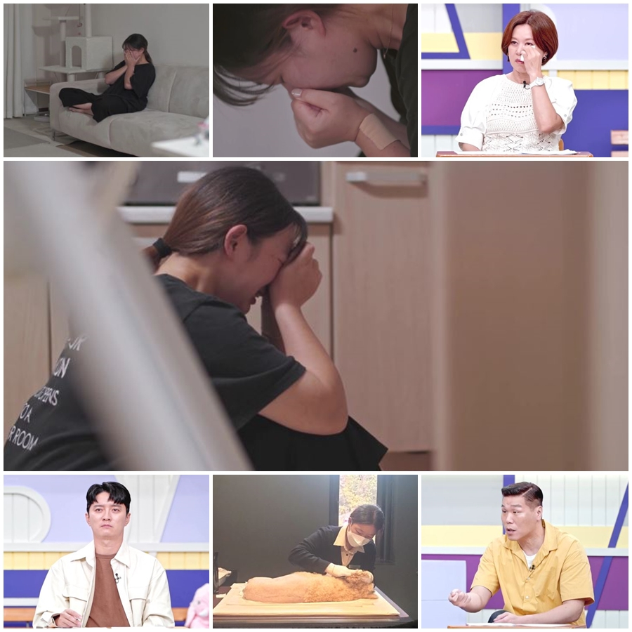 /사진=MBN '고딩엄빠4'
