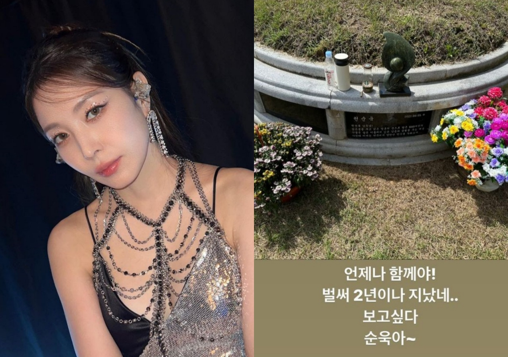 /사진=보아 SNS
