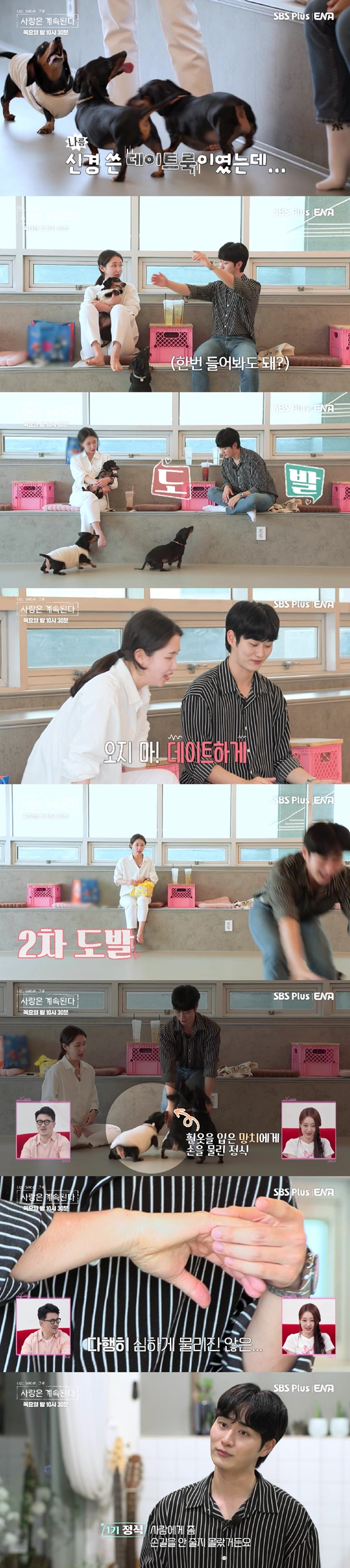 /사진=ENA, SBS PLUS 방송화면