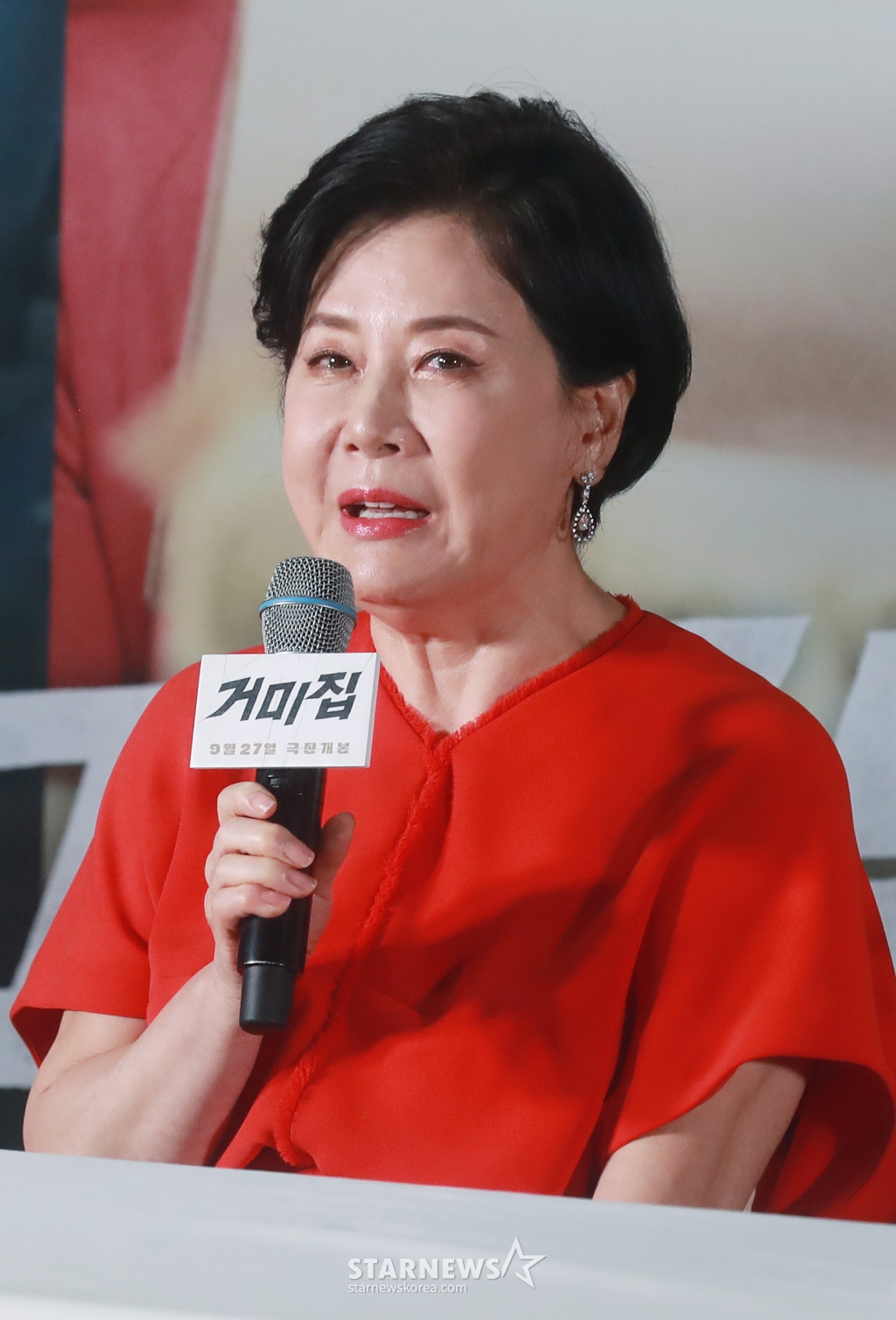사진