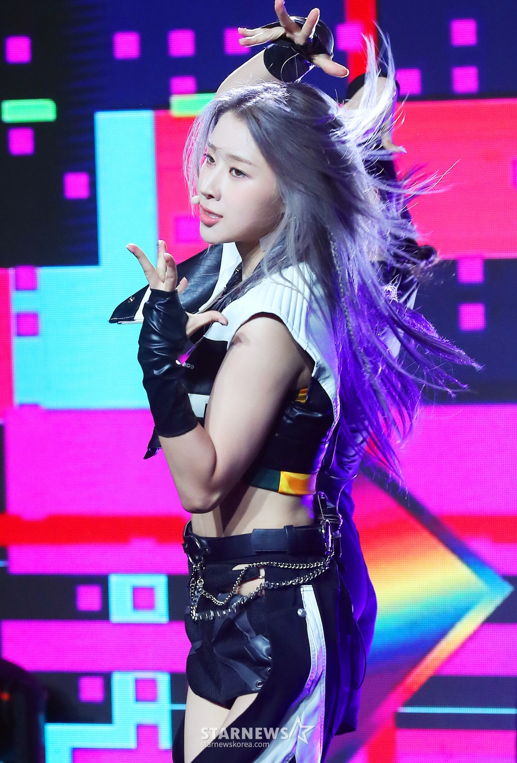 사진