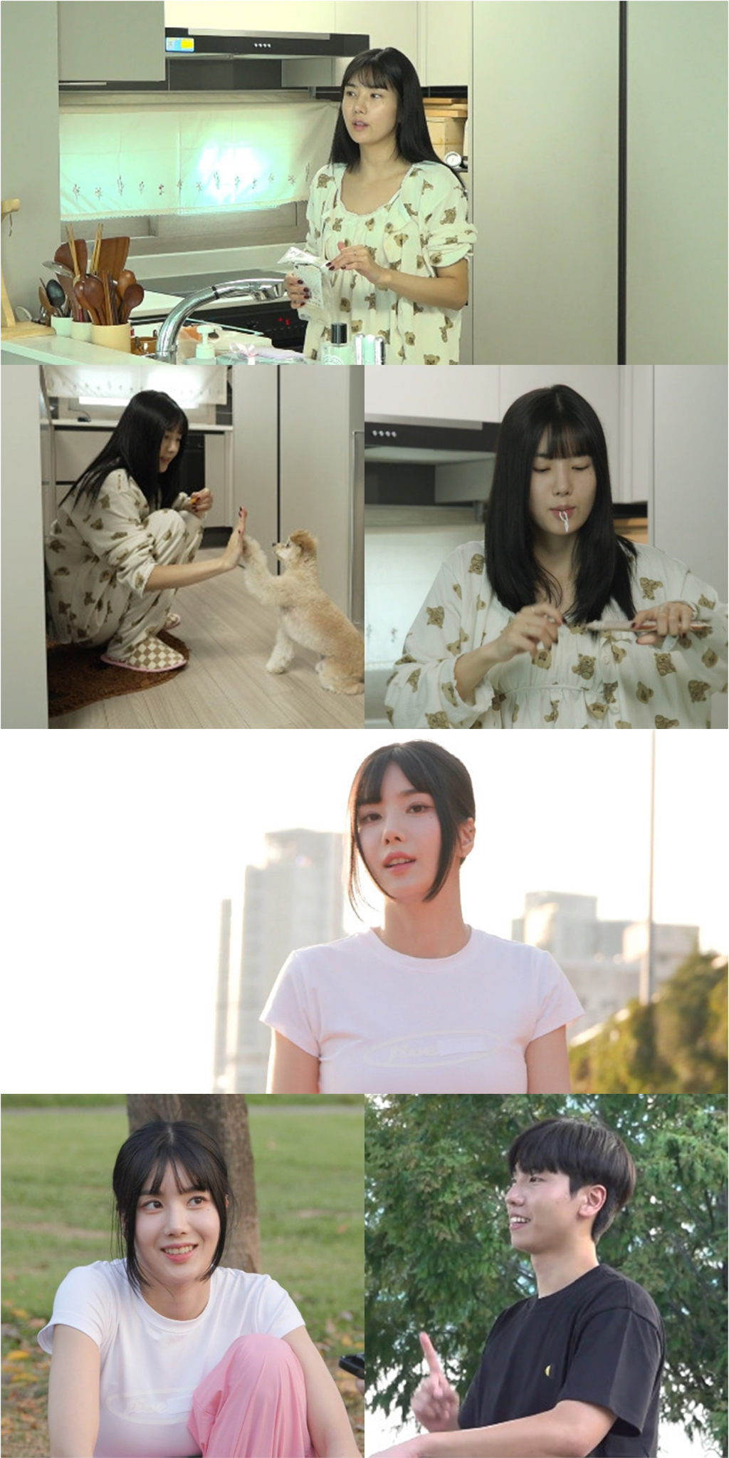 사진