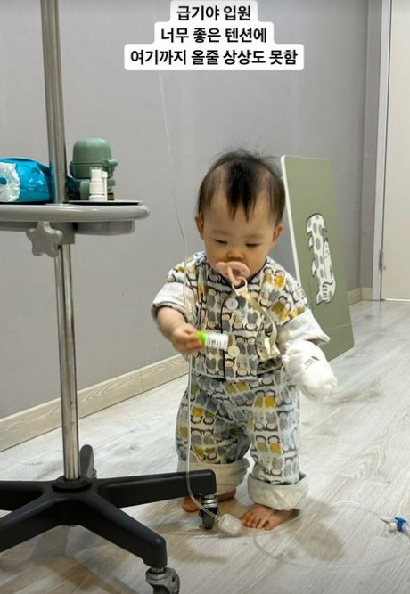 /사진=김영희